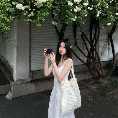兔子镇的火狐狸